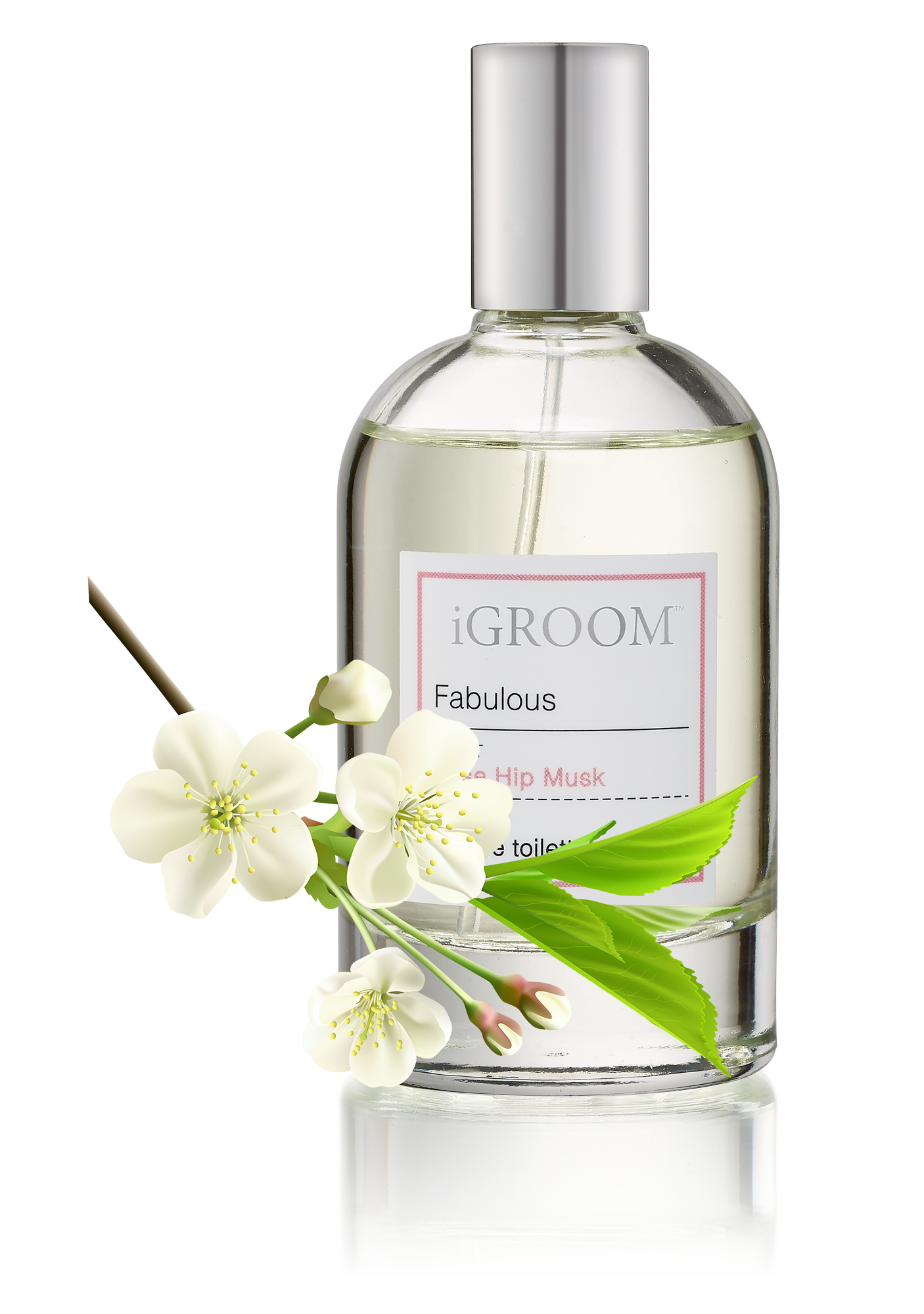 Парфюм для собак и кошек iGroom 